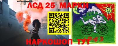 соль ск Новодвинск