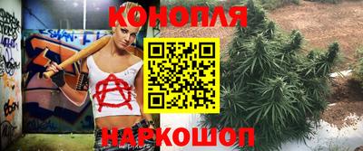 шишки Наро-Фоминск
