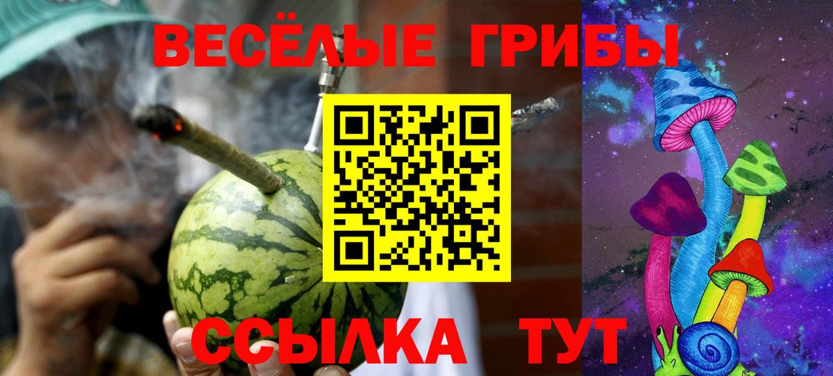 Псилоцибиновые грибы ЛСД  Вход с VPN  Волгоград  Галлюциногенные грибы MAGIC MUSHROOMS 